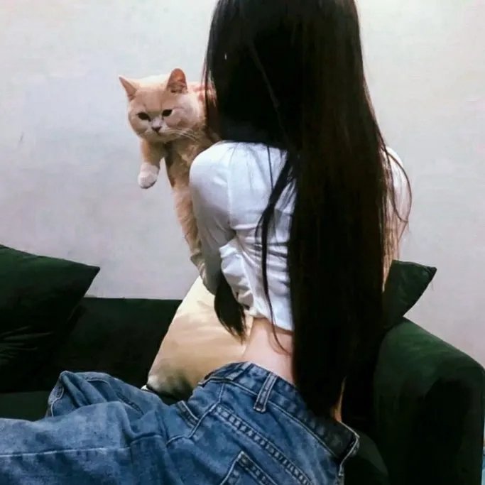 盗爱之家